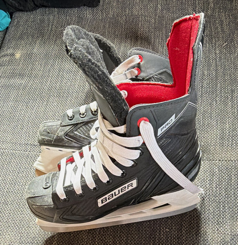 Bauer pro - bauer,